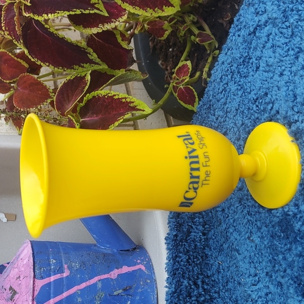 Carnival Cup